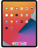 iPad Pro 12.9" Cellular 5th generation